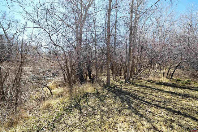 a view of covered with green space