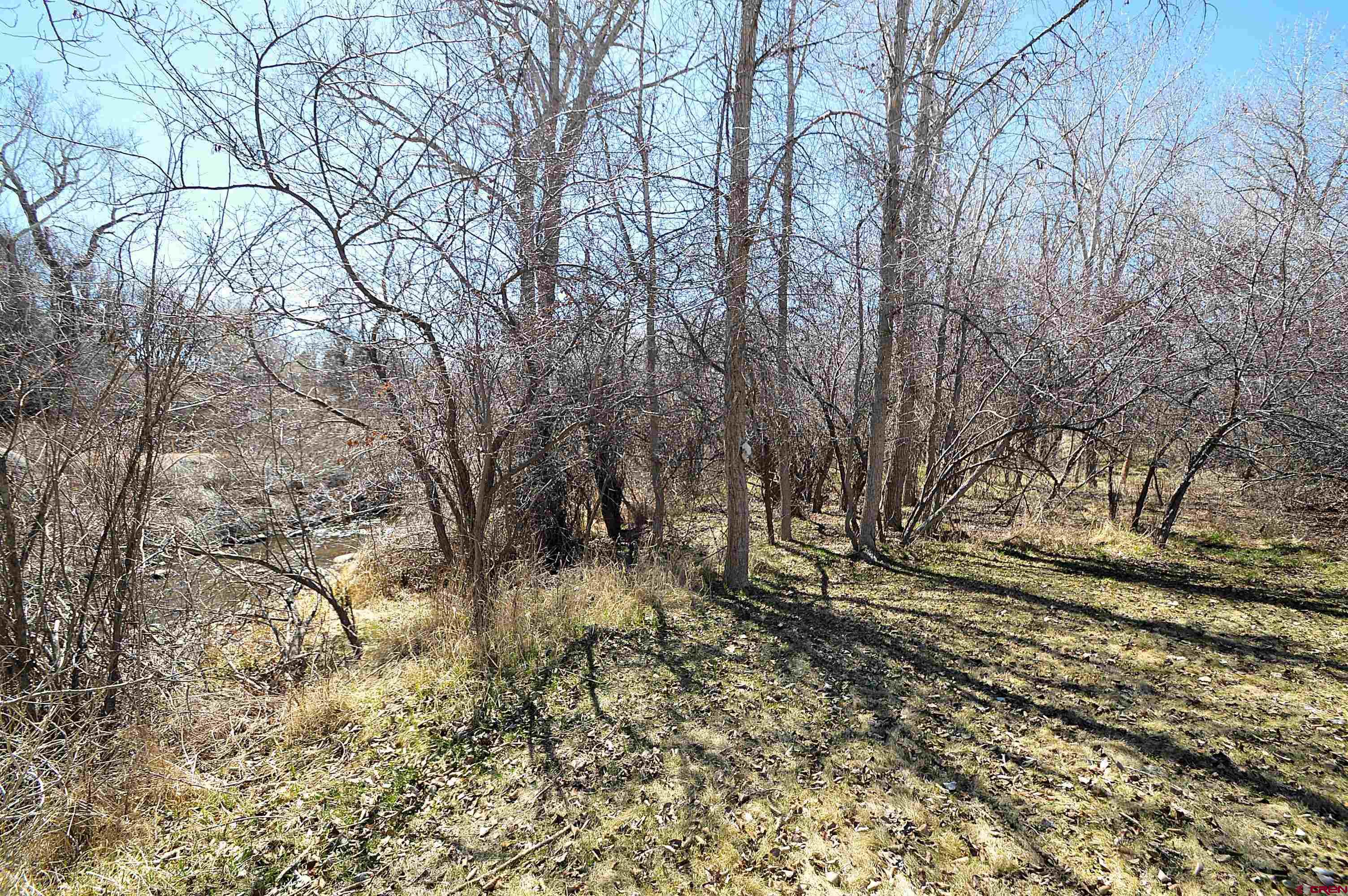 Tbd Southeast Tbd Se 3rd Street Cedaredge, CO 81413 - Photo 3 of 12 a view of covered with green space