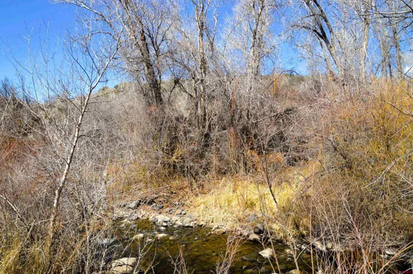 a view of under trees
