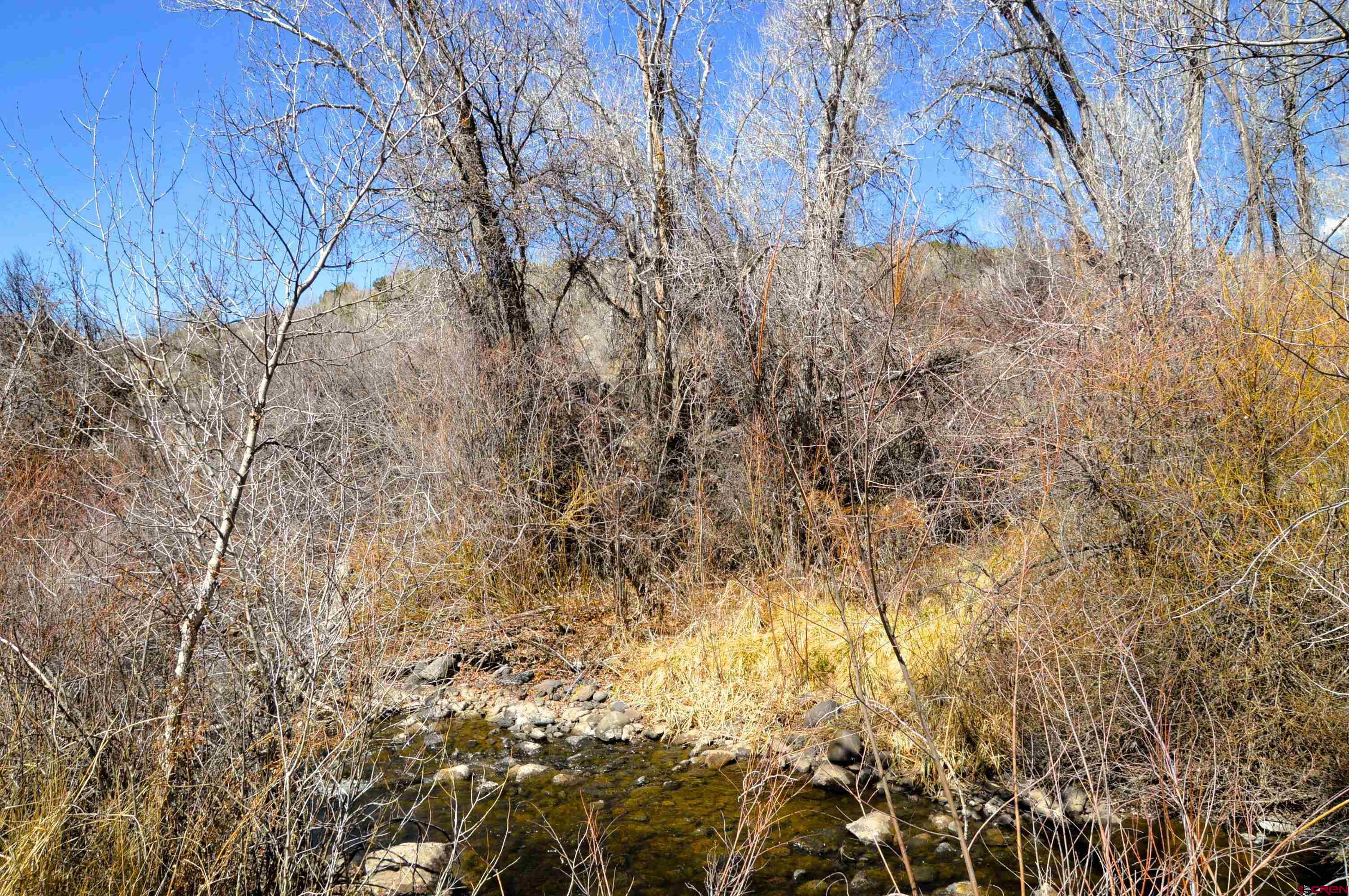 Tbd Southeast Tbd Se 3rd Street Cedaredge, CO 81413 - Photo 4 of 12 a view of under trees