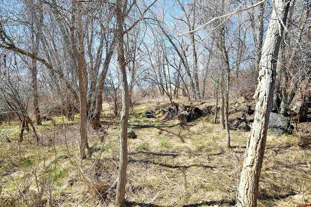 a view of a yard covered with snow