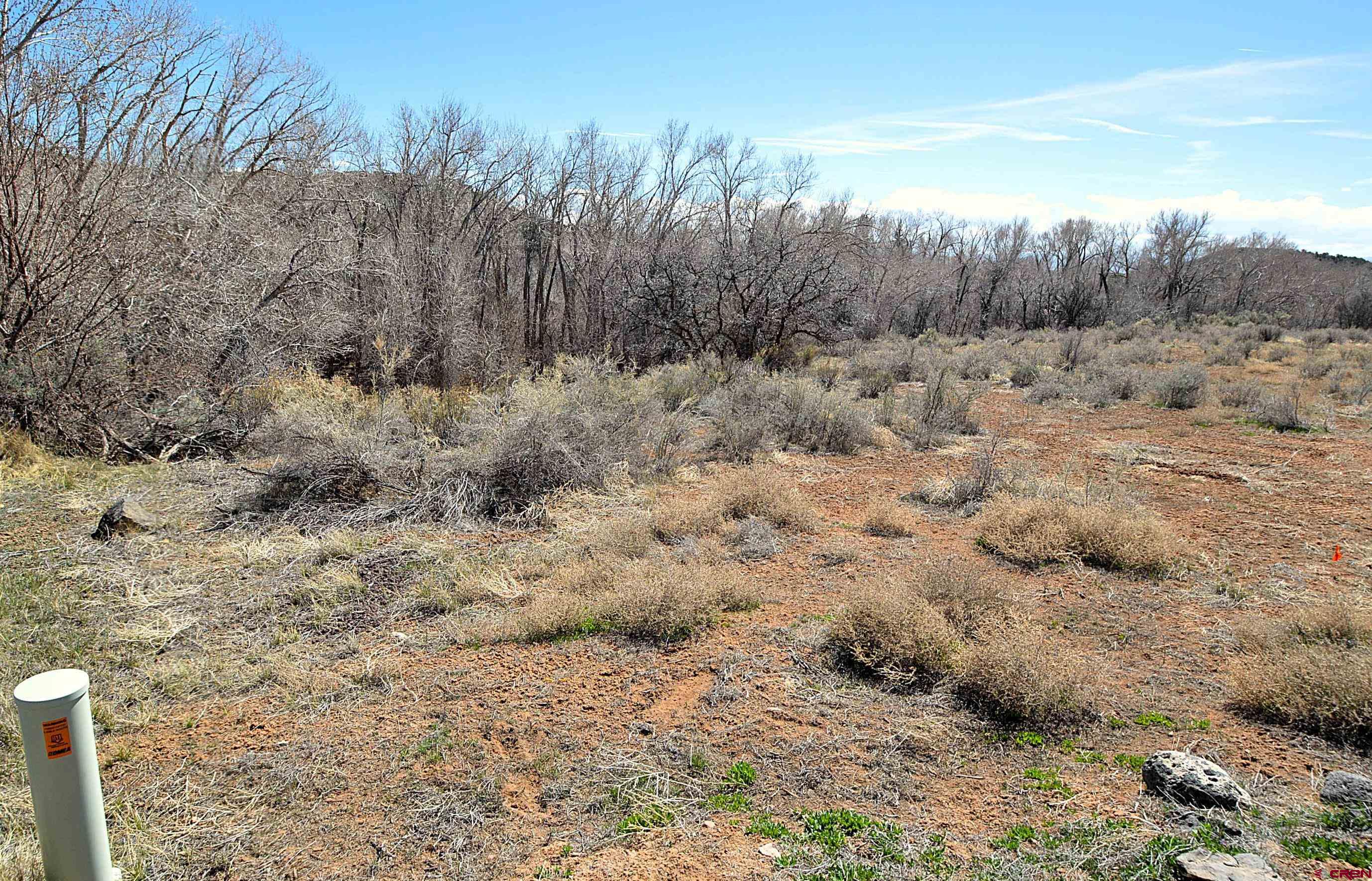 Tbd Southeast Tbd Se 3rd Street Cedaredge, CO 81413 - Photo 7 of 12 a view of a dry yard with trees