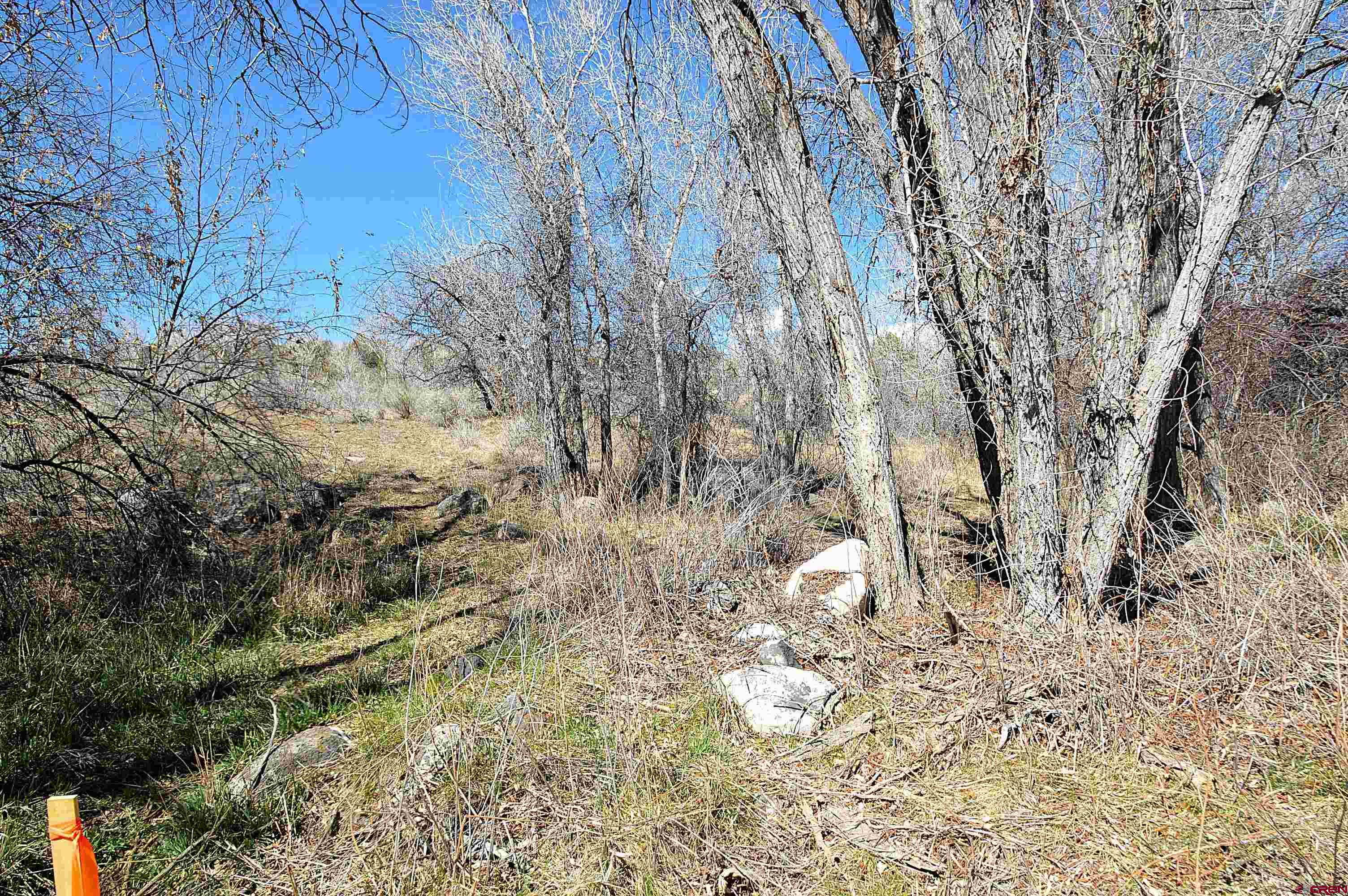 Tbd Southeast Tbd Se 3rd Street Cedaredge, CO 81413 - Photo 8 of 12 a view of a wooden fence of a building