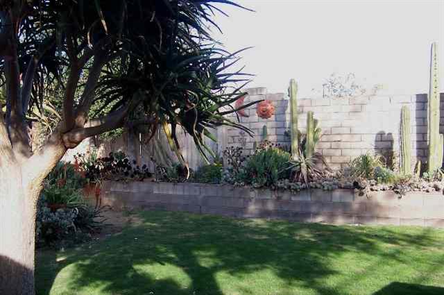 3935 Constellation Road Lompoc, CA 93436 - Photo 2 of 6 a view of a yard with plants and large trees