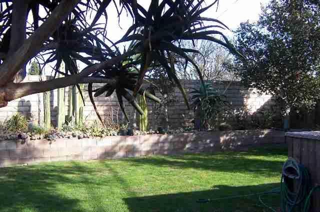 3935 Constellation Road Lompoc, CA 93436 - Photo 3 of 6 a backyard of a house with lots of green space