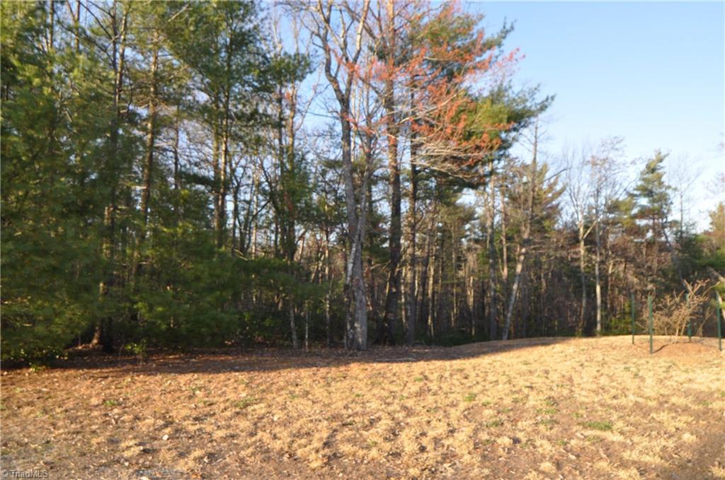4860 Staghorn Road Purlear, NC 28665 - Photo 24 of 25
