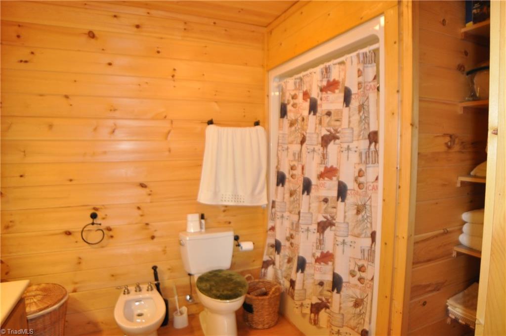 4860 Staghorn Road Purlear, NC 28665 - Photo 10 of 25