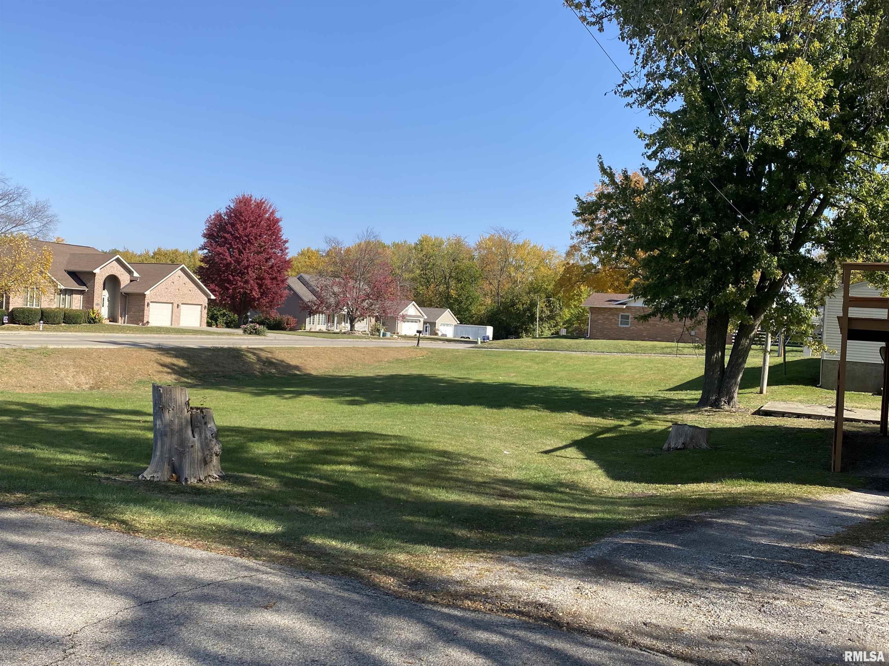 665 North 12th Avenue Canton, IL 61520 - Photo 13 of 48