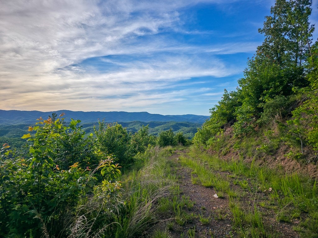 6313 Dunlap Creek Road Covington, VA 24426 - Photo 41 of 46 Gallery Image 41