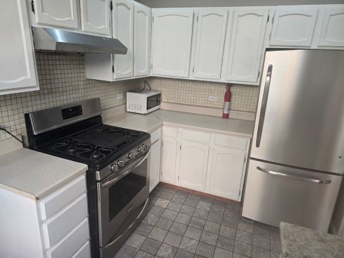 410 Ridge Avenue, Unit 232 Evanston, IL 60202 - Photo 7 of 14