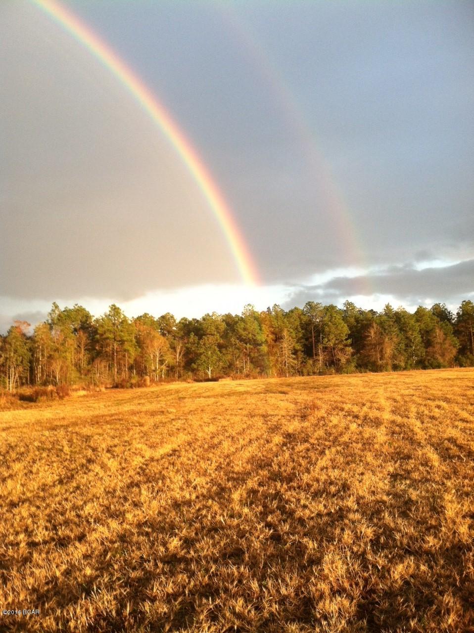 1059 Wilcox Crossing Road Bonifay, FL 32425 - Photo 2 of 70 Gallery Image 2