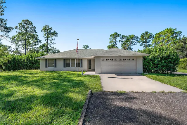 a view of a park with large trees