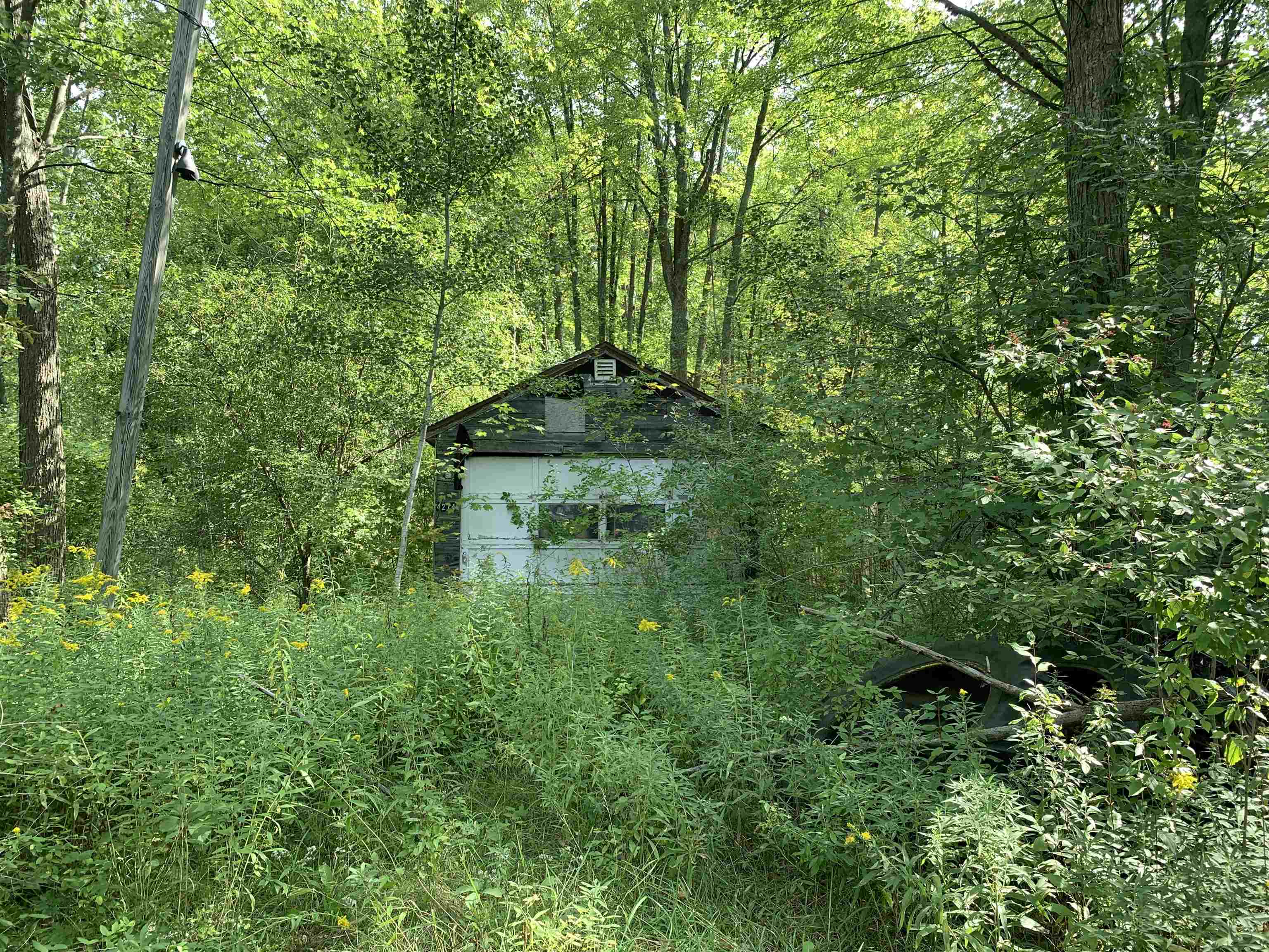 0 North Carter Road Rhodes, MI 48652 - Photo 2 of 5