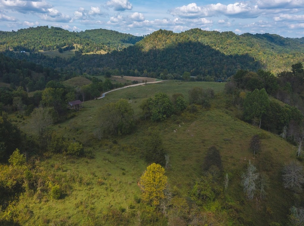 215 Ed Hollow Road Eidson, TN 37731 - Photo 25 of 60 Gallery Image 25