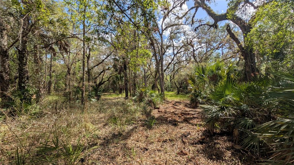 Gillette Road Zolfo Springs, FL 33890 - Photo 8 of 86 Gallery Image 8