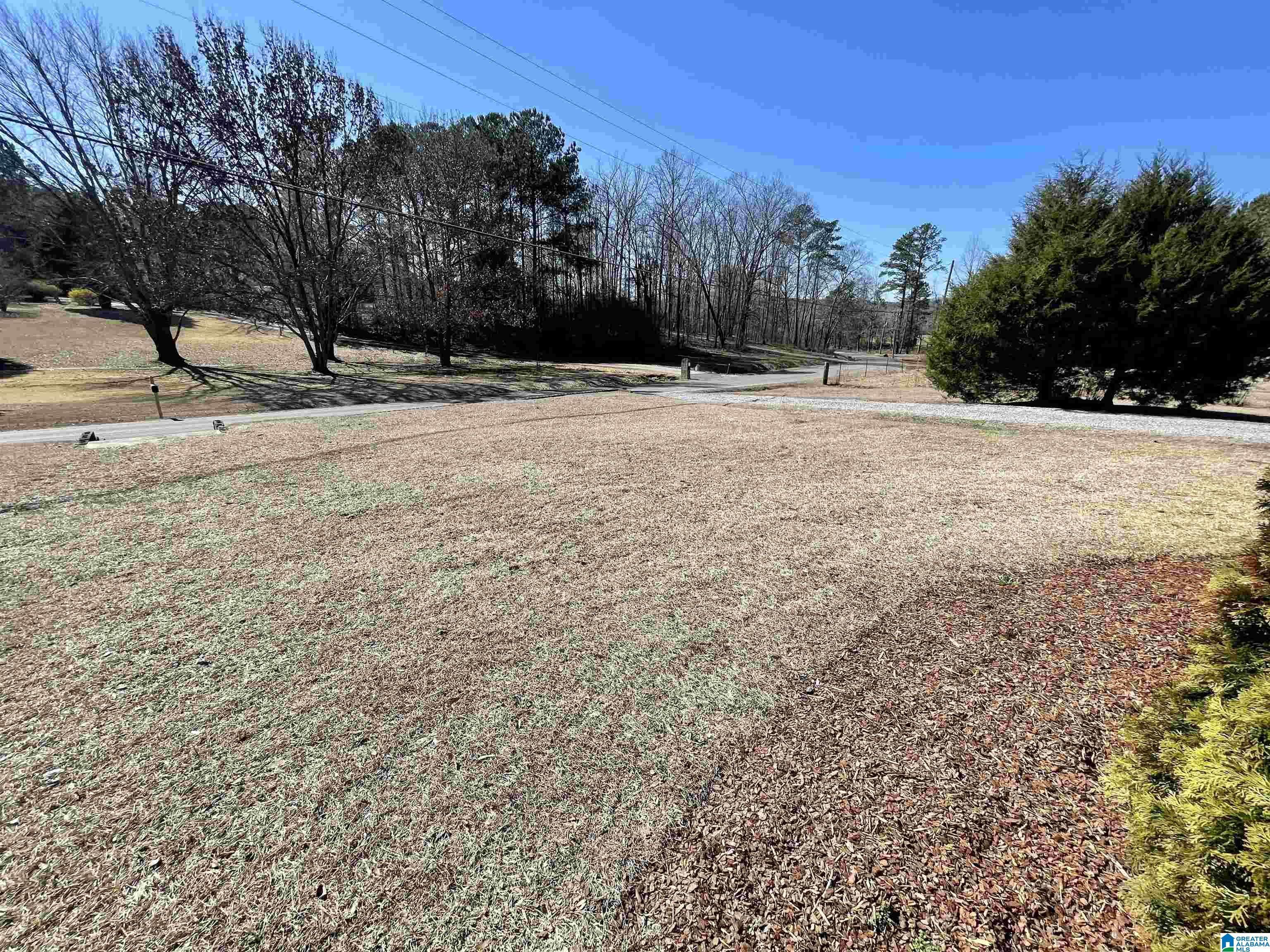 9423 Central Road Warrior, AL 35180 - Photo 11 of 15