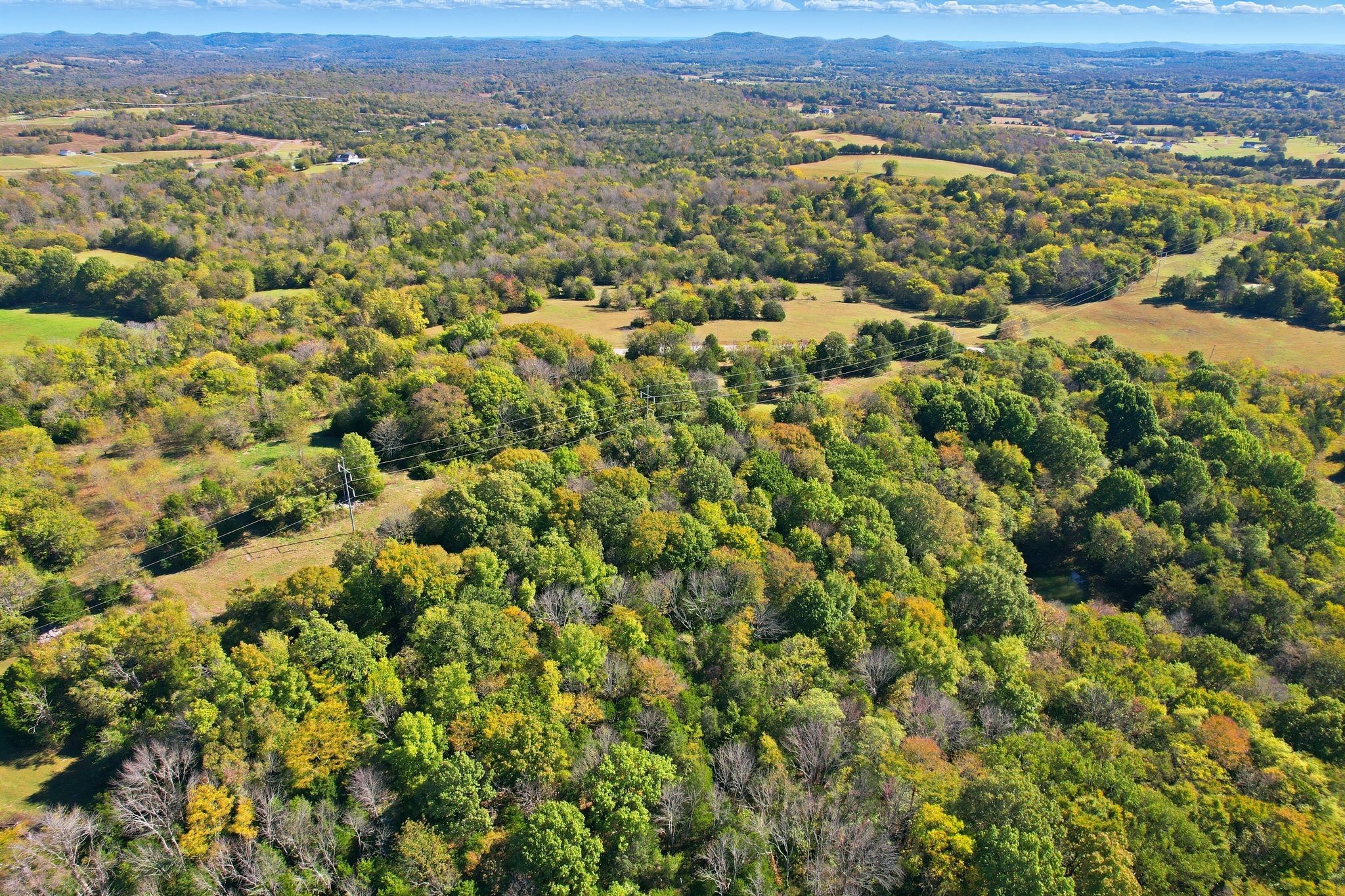 1794 Roberts Road Watertown, TN 37184 - Photo 13 of 38 an aerial view of residential houses with outdoor space and trees