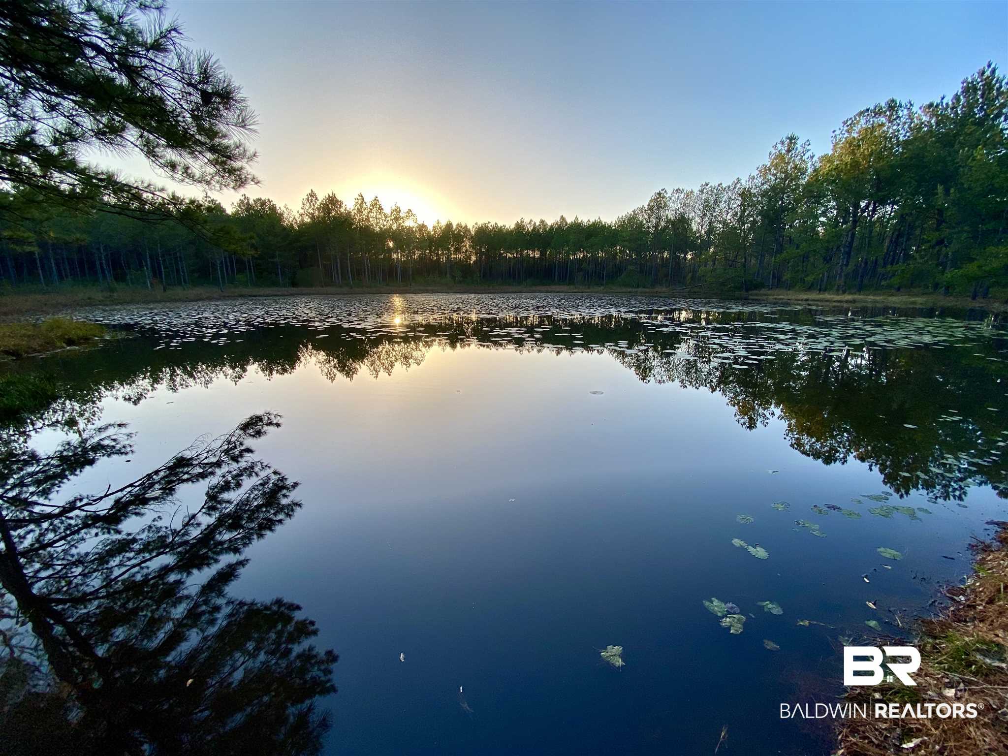 0 Country Road Fruitdale, AL 36539 - Photo 22 of 47