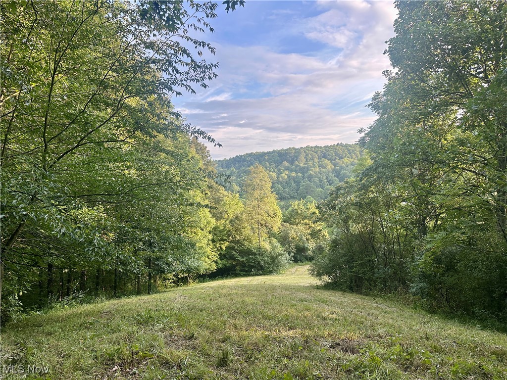 200 Frakes Road Lower Salem, OH 45745 - Photo 21 of 50 Mountain view featuring a heavily wooded area