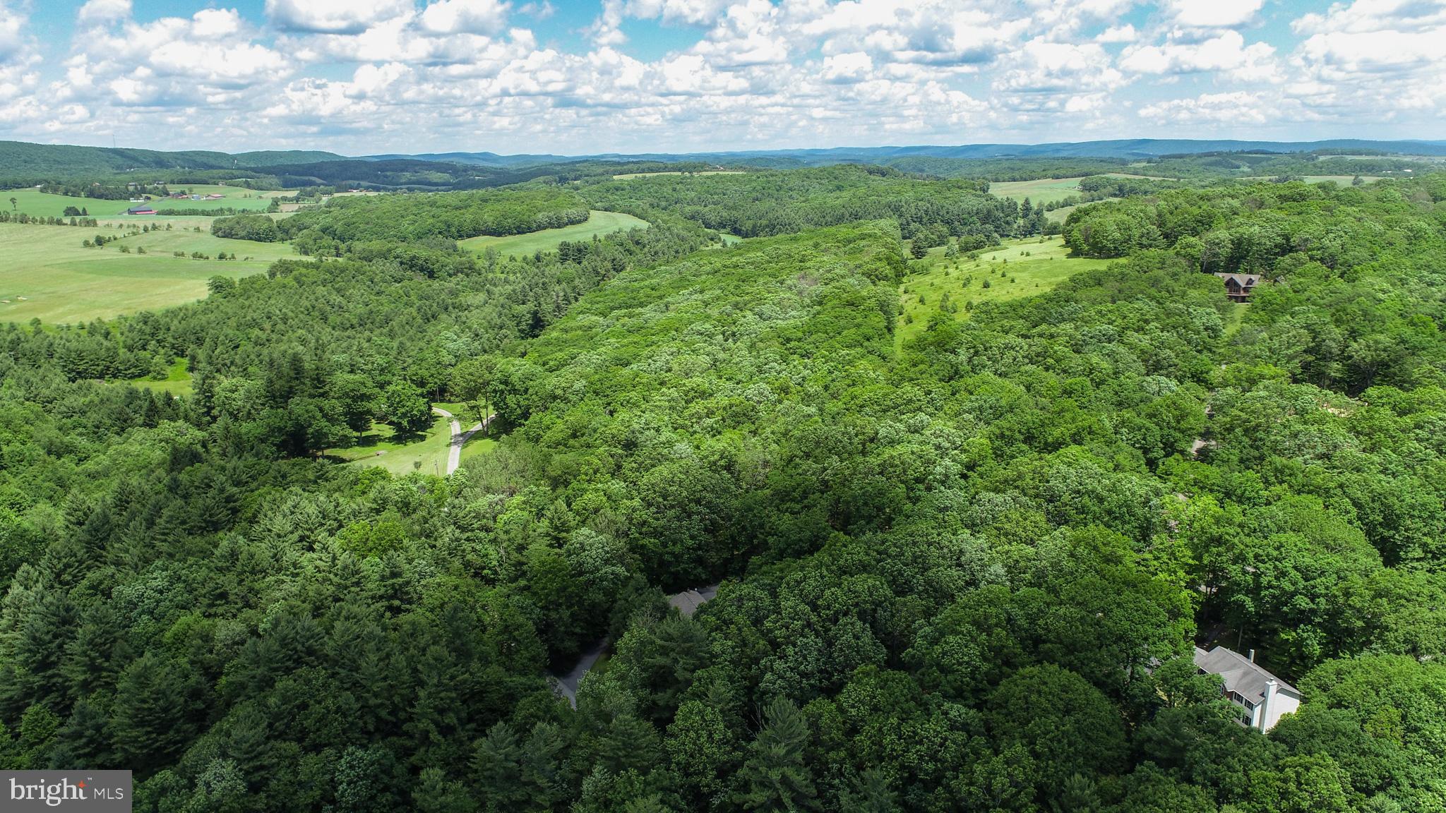 North Glade Road Swanton, MD 21561 - Photo 9 of 16