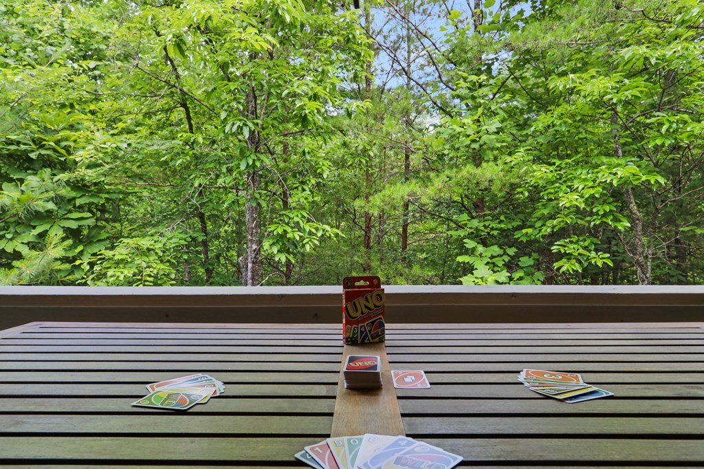 55 Spring Creek Road Blue Ridge, GA 30513 - Photo 27 of 35