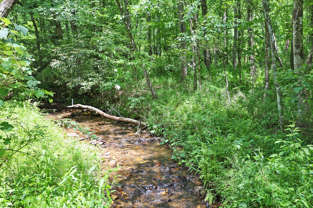 55 Spring Creek Road Blue Ridge, GA 30513 - Photo 35 of 35