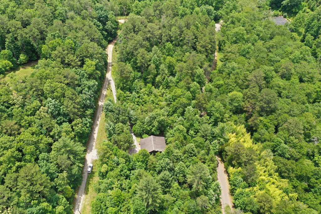 55 Spring Creek Road Blue Ridge, GA 30513 - Photo 7 of 35