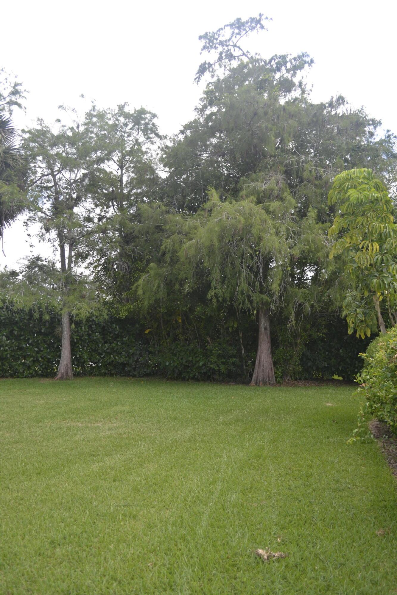 1104 Raintree Lane Wellington, FL 33414 - Photo 18 of 30 .39 acre private lot on canal