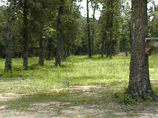 0 East O'Neal Road Deville, LA 71328 - Photo 3 of 4
