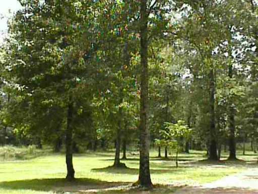 0 East O'Neal Road Deville, LA 71328 - Photo 4 of 4