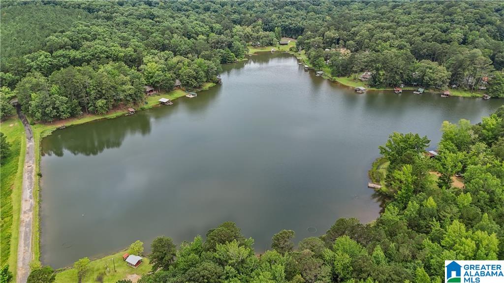 352 Harkins Lake Road Fayette, AL 35555 - Photo 38 of 41