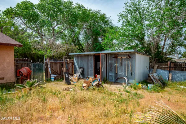 a view of backyard with wooden fence and a large tree