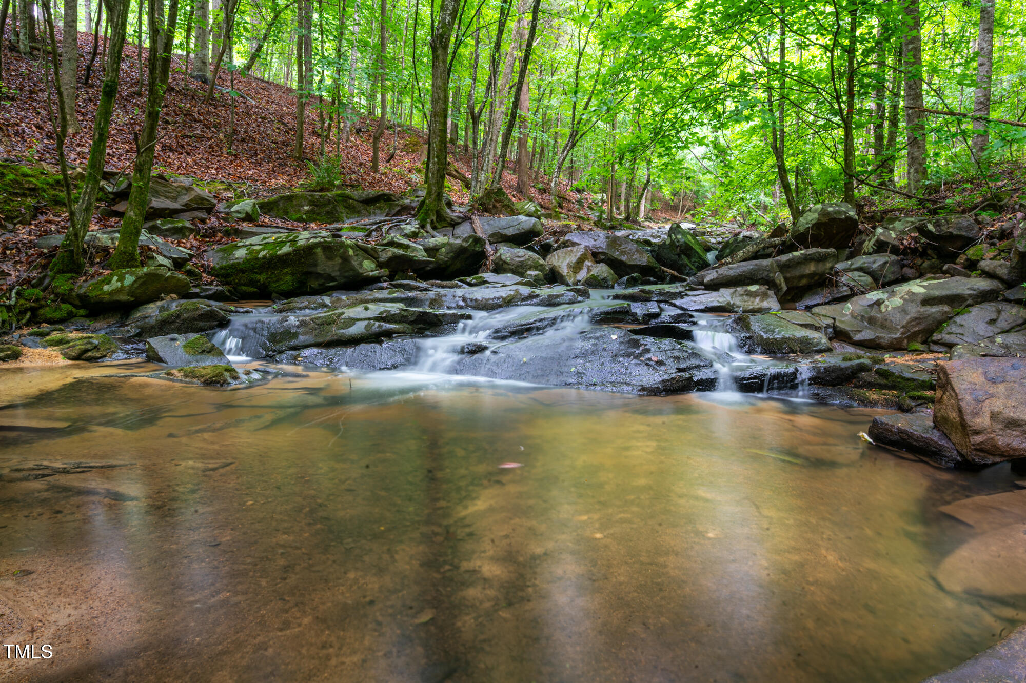 708 October Woods Road Chapel Hill, NC 27516 - Photo 81 of 88 708OctoberWoods-92