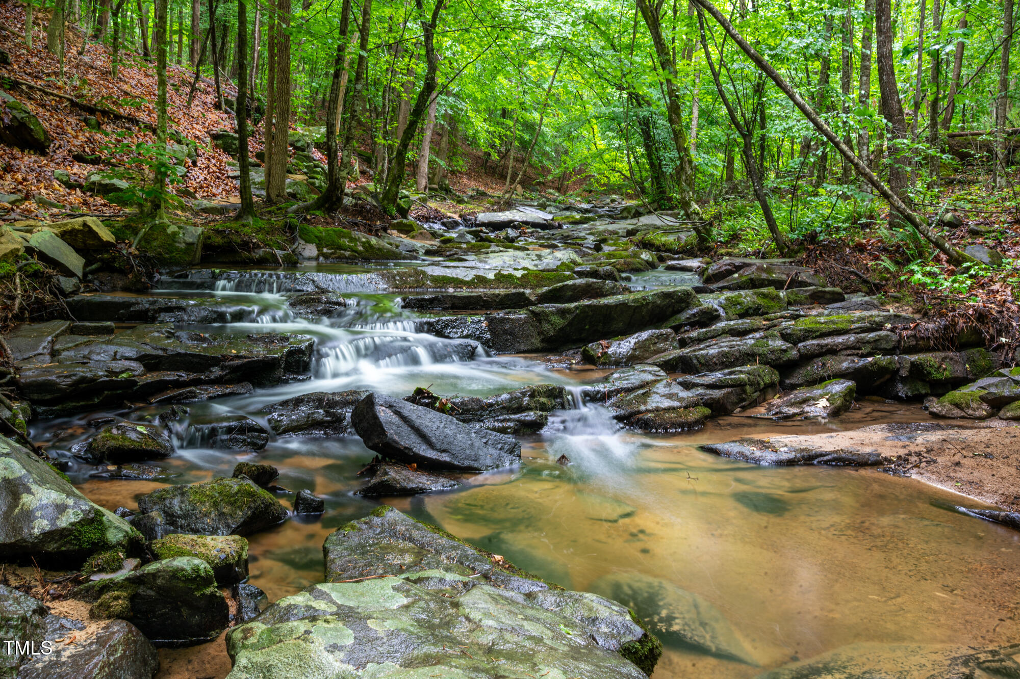 708 October Woods Road Chapel Hill, NC 27516 - Photo 82 of 88 708OctoberWoods-93