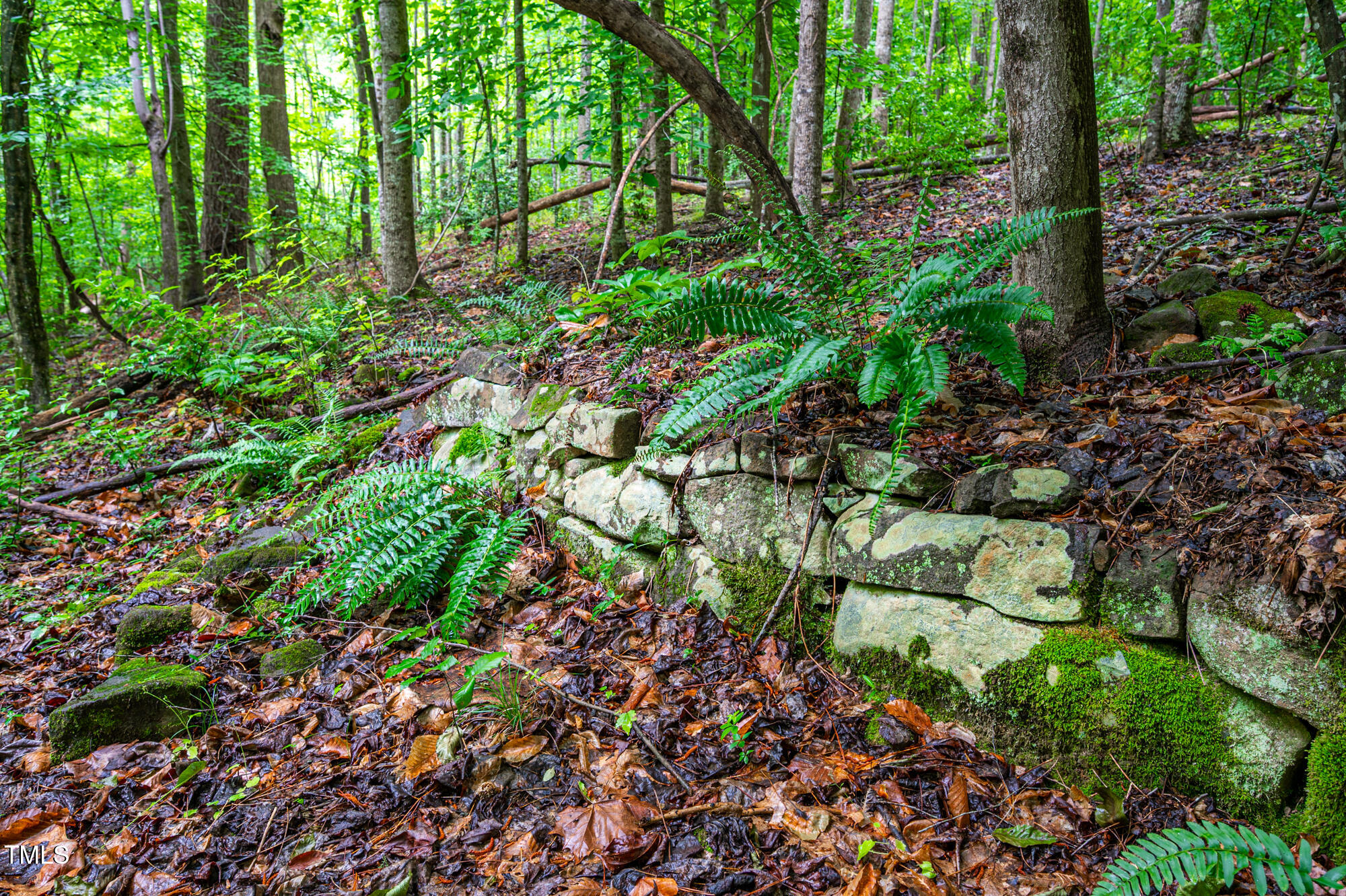 708 October Woods Road Chapel Hill, NC 27516 - Photo 83 of 88 708OctoberWoods-94