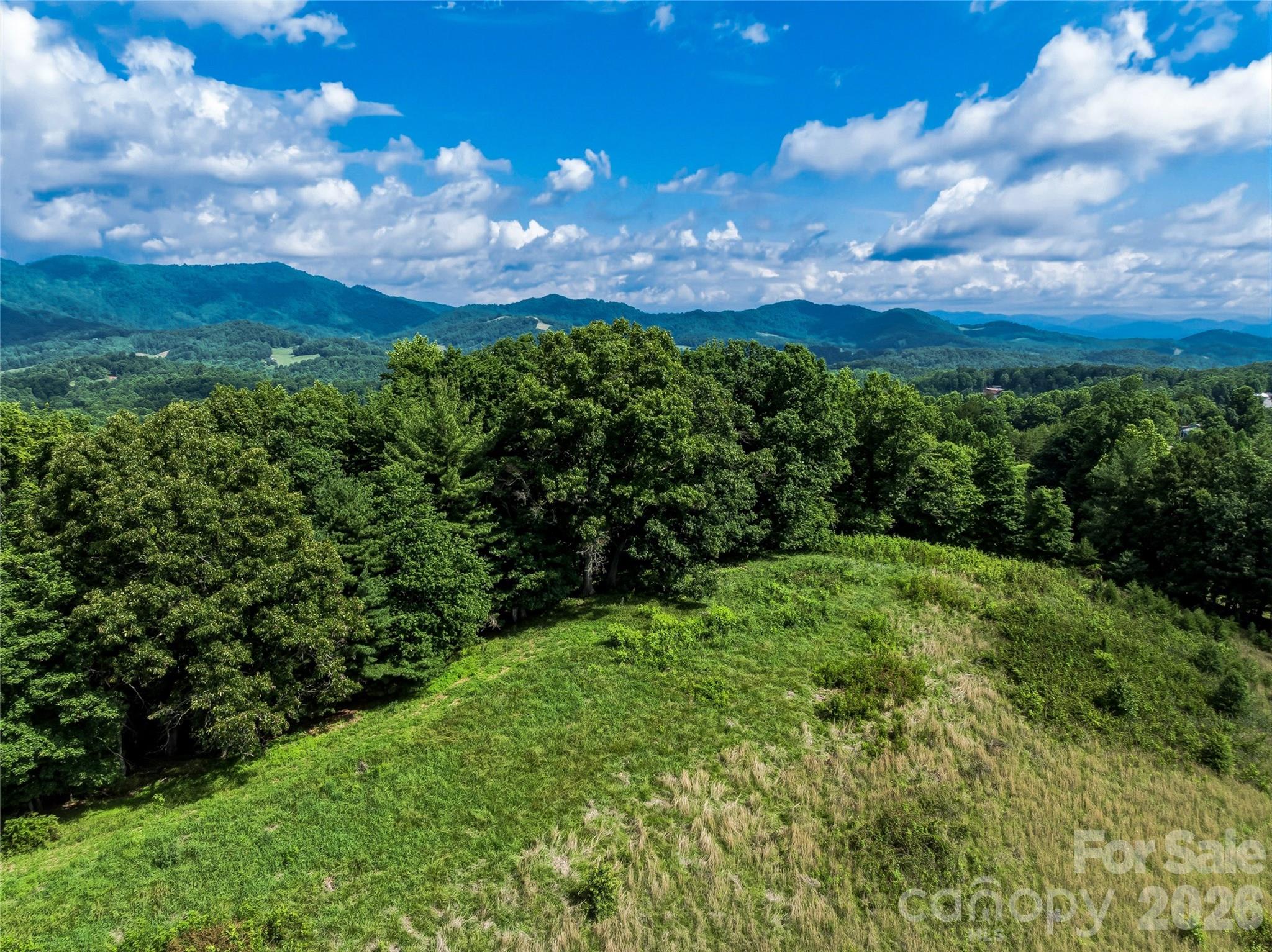 35 Felmet Farm Road Marshall, NC 28753 - Photo 25 of 28