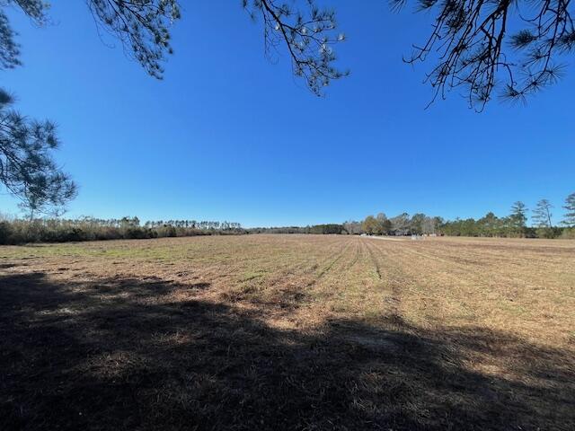 10 Rambling Lane Cross, SC 29436 - Photo 10 of 14 IMG_6455