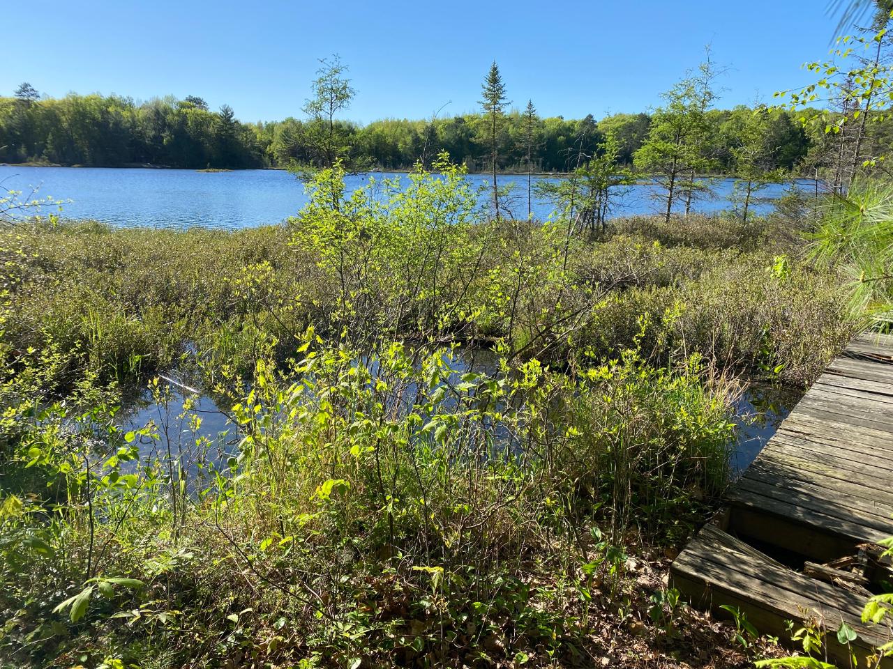 On Emden Lake Road Rhinelander, WI 54501 - Photo 14 of 15 Gallery Image 14