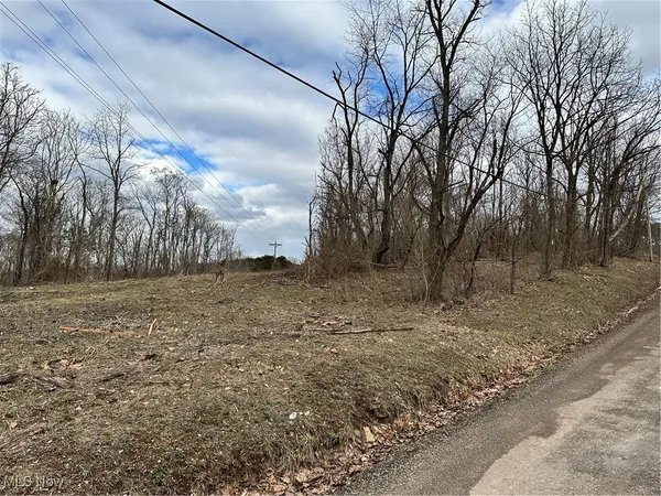 $66,000 | 0 Fisher Ridge Road, Fleming, OH 45729