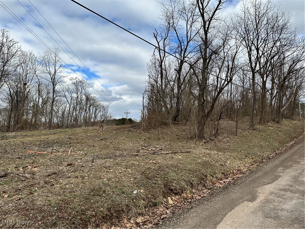 0 Fisher Ridge Road Fleming, OH 45729 - Photo 2 of 8 View from street