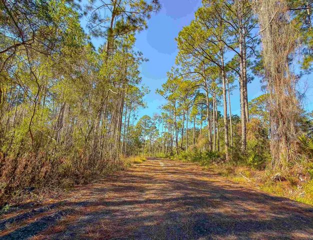 $84,000 | 120 Bay Magnolia Court, Carrabelle, FL 32322