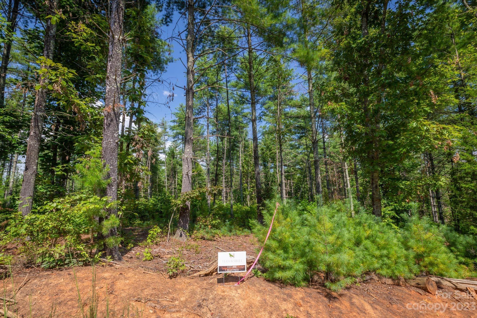 4562 Firetower Road, Unit 46 Morganton, NC 28655 - Photo 5 of 6 Gallery Image 5