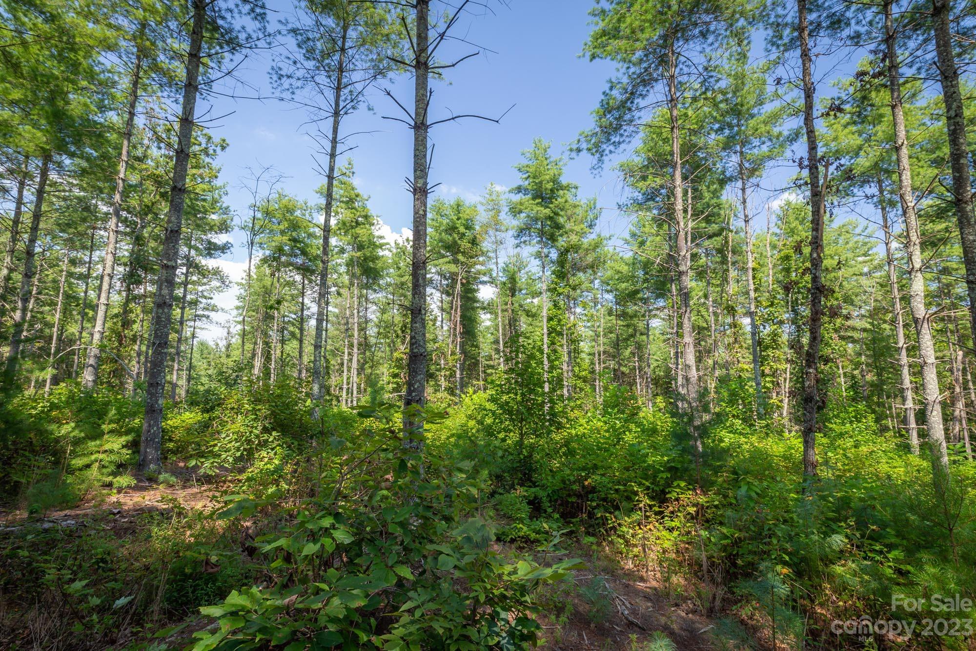 4562 Firetower Road, Unit 46 Morganton, NC 28655 - Photo 6 of 6 Gallery Image 6