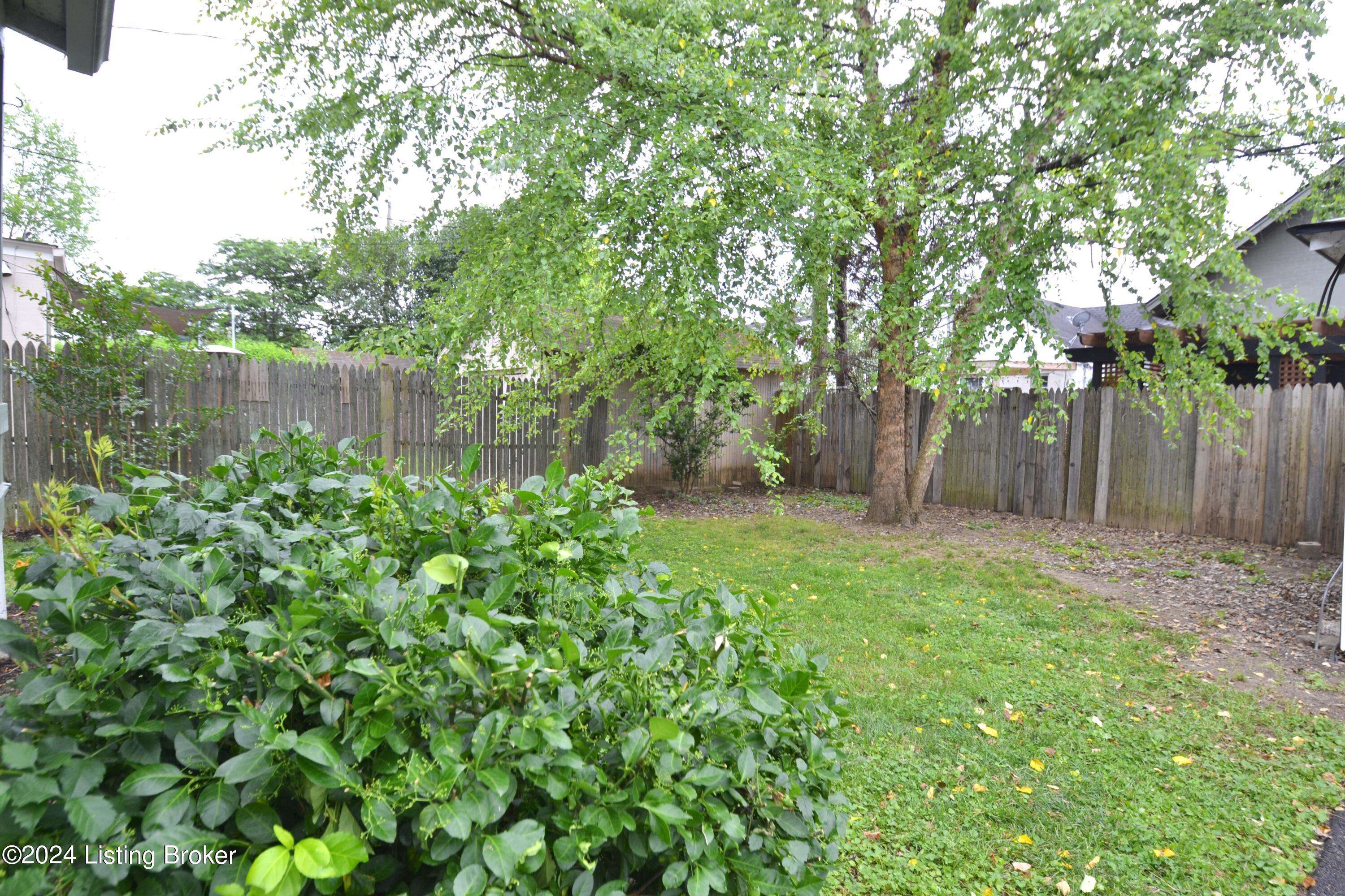 416 Iola Road Louisville, KY 40207 - Photo 24 of 34 DSC_0076