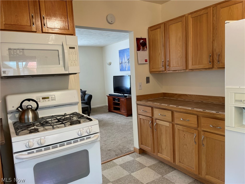 206 Overlook Road Painesville, OH 44077 - Photo 15 of 30 Gallery Image 15