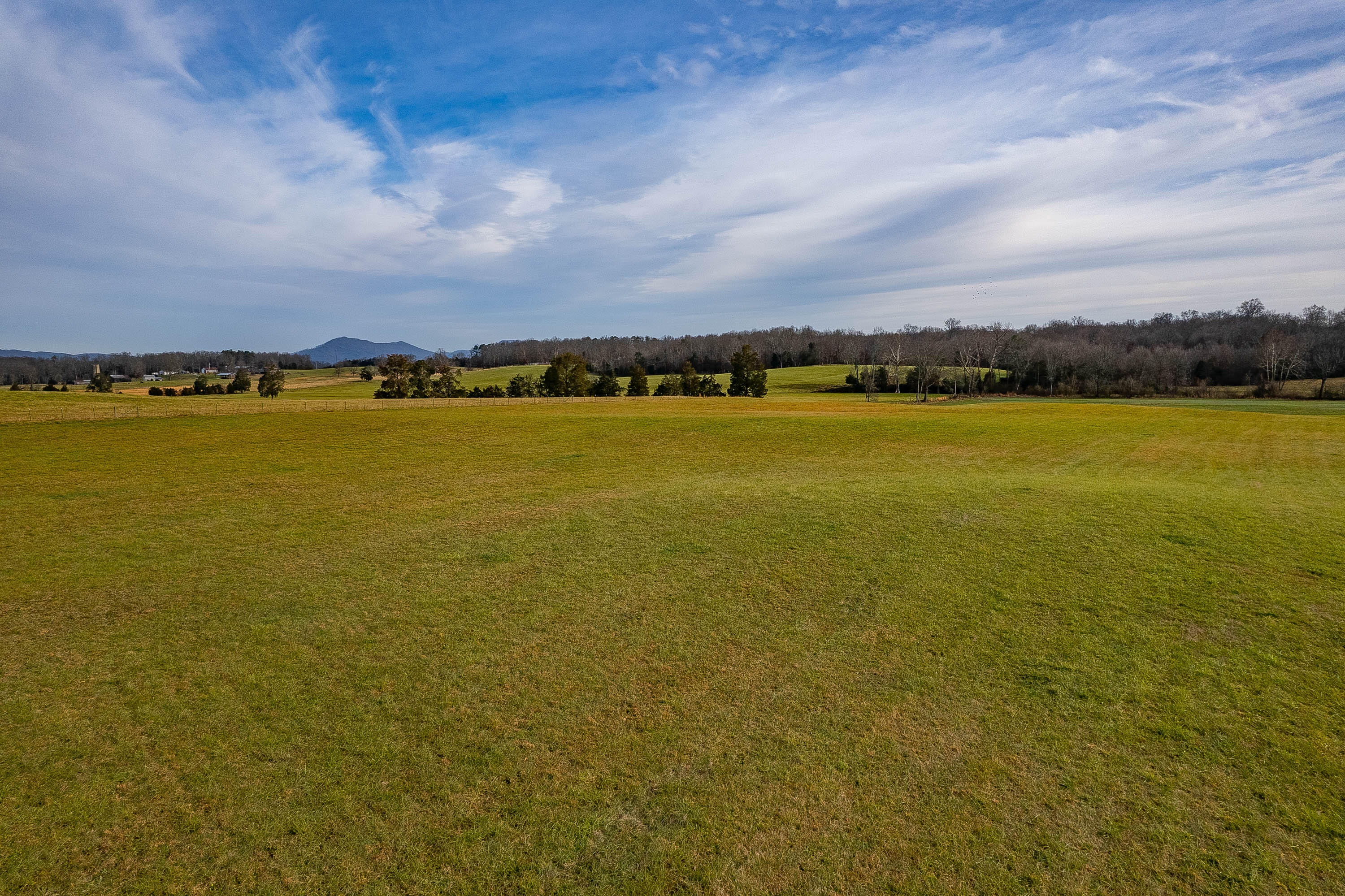 10 Ottway Road Greeneville, TN 37745 - Photo 8 of 10 Ottway-32