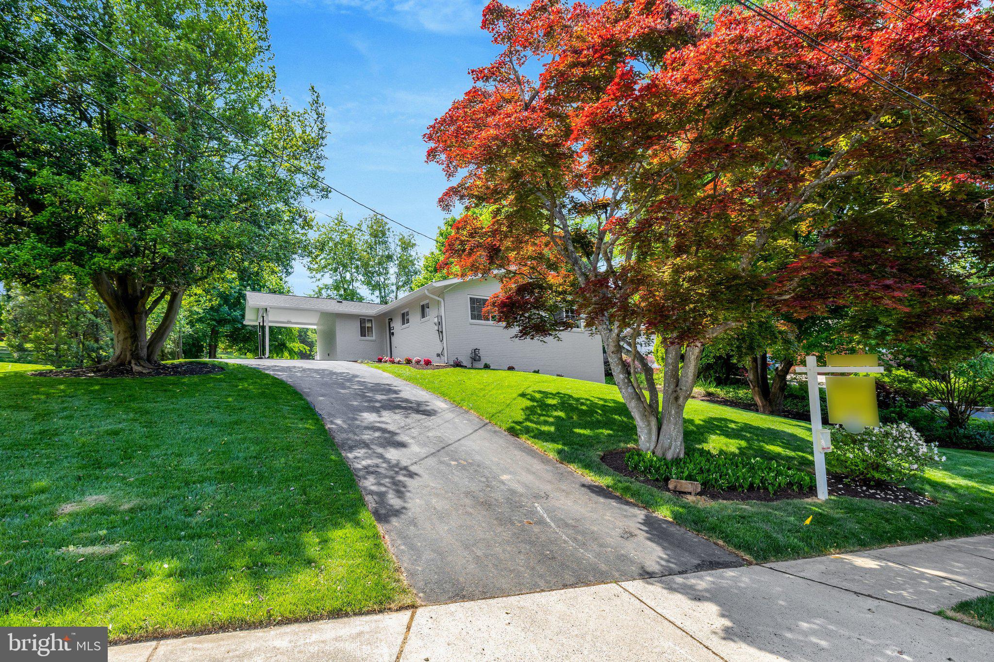 3503 Spring Lake Terrace Fairfax, VA 22030 - Photo 34 of 48 Professionally Landscaped-New Sod & Pretty Azaleas