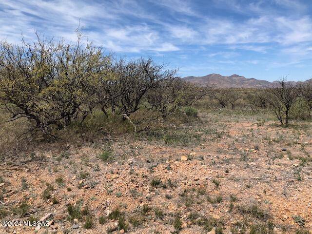 738 Camino Arruza, Unit 30 Rio Rico, AZ 85648 - Photo 3 of 6