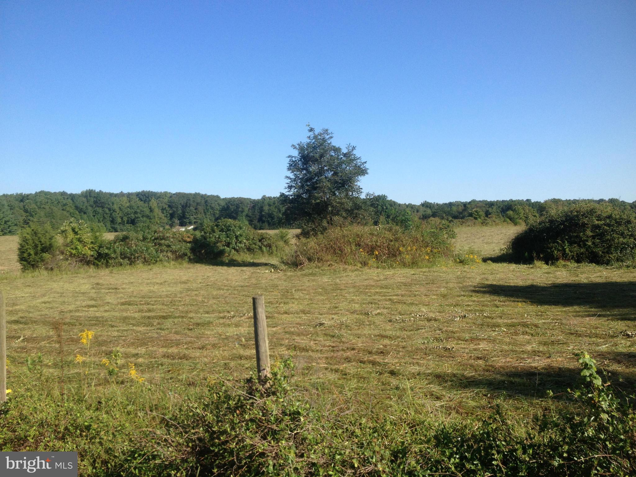 90 Alum Springs Road Culpeper, VA 22701 - Photo 8 of 12 View