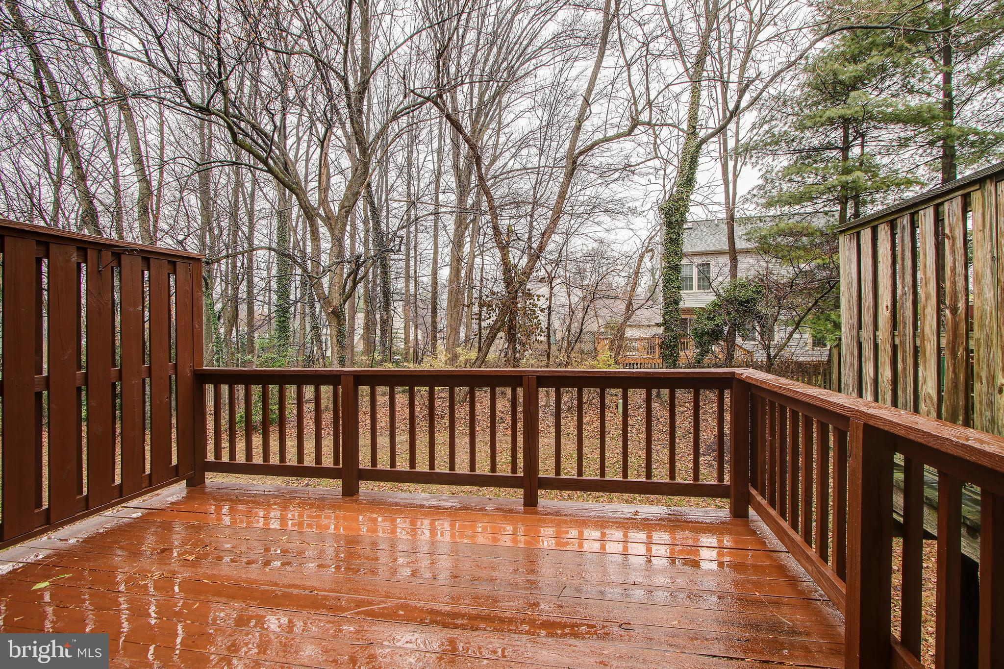 11320 Baritone Court Silver Spring, MD 20901 - Photo 11 of 31 Gallery Image 11